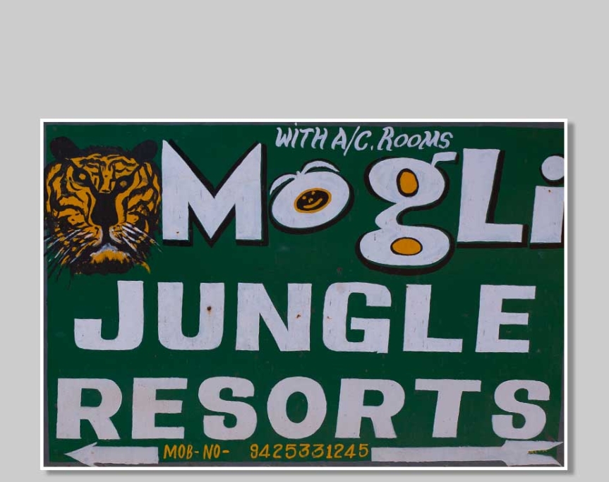 Mogli Jungle Resort